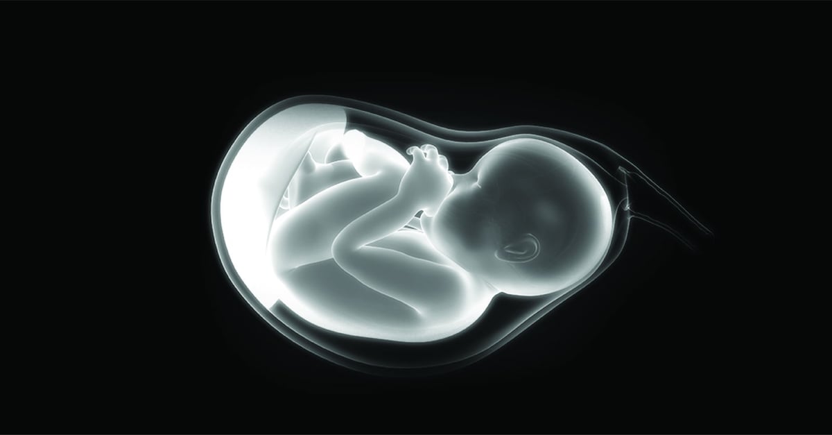 Baby in Womb Ultrasound