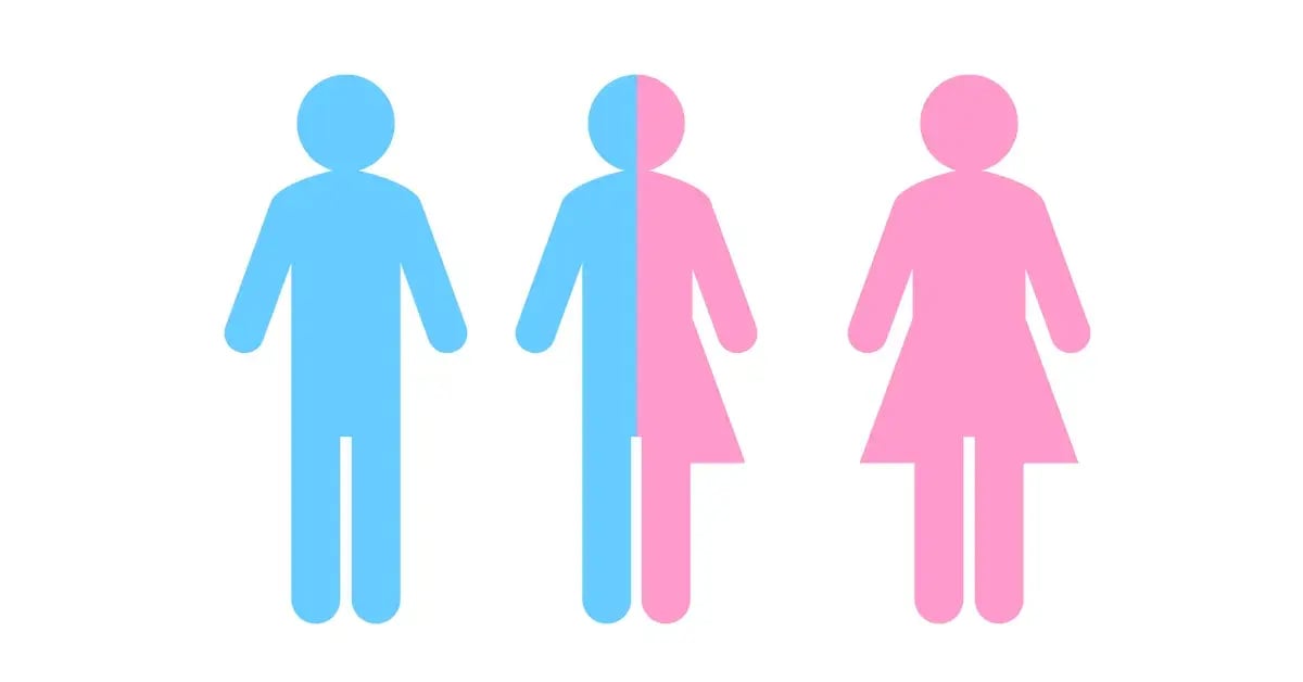 Transgender Illustration