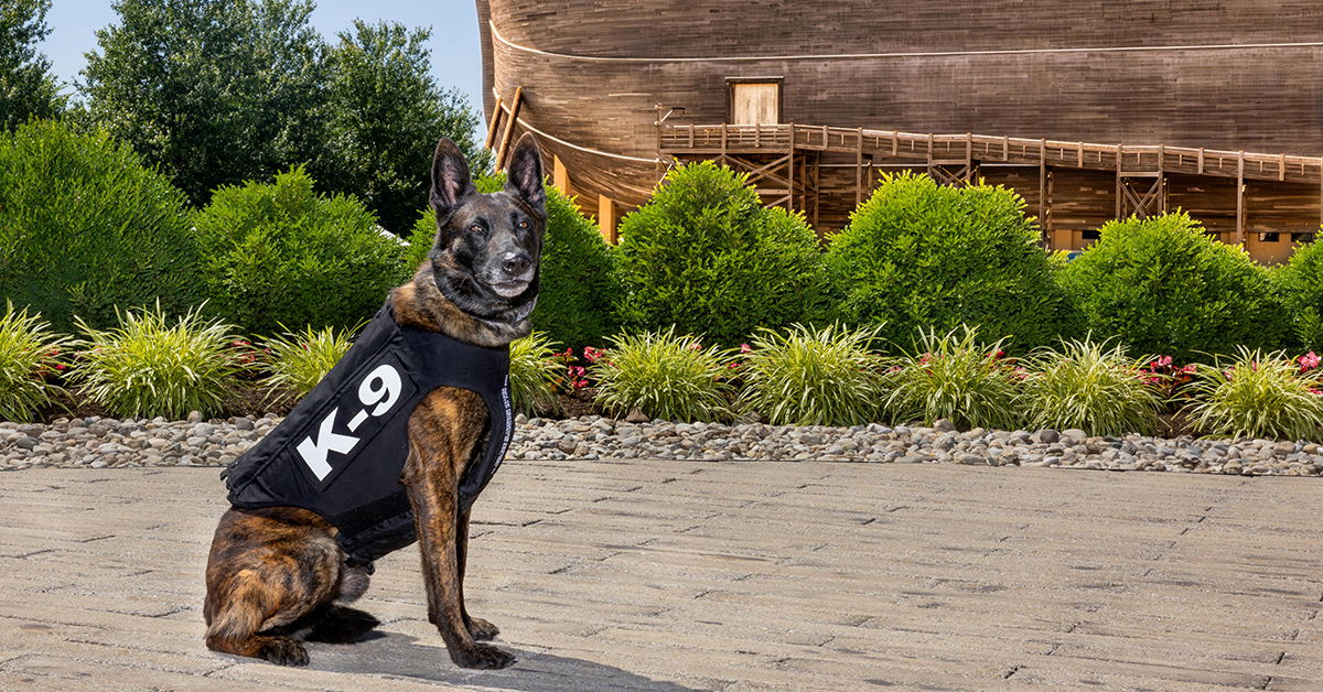 K9 Obadiah