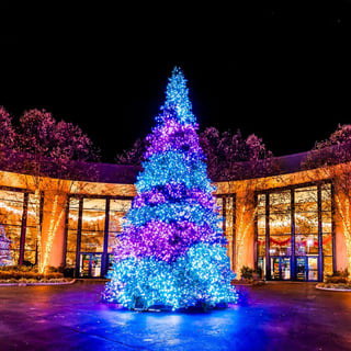 Christmas at the Creation Museum