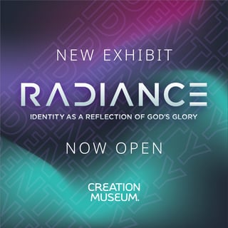 Radiance Exhibit