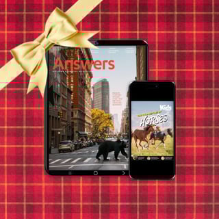 Free Digital Magazine Christmas Offer 