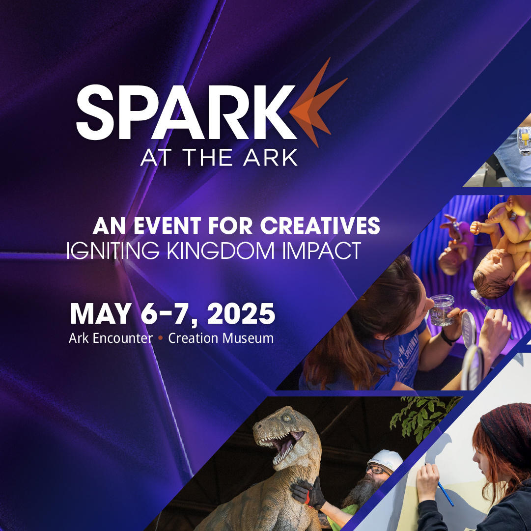 Spark at the Ark