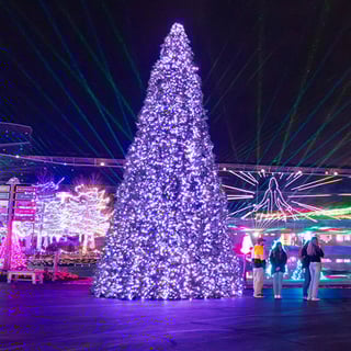 Christmas at the Ark Encounter
