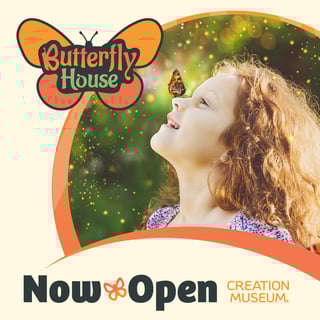 Butterfly House