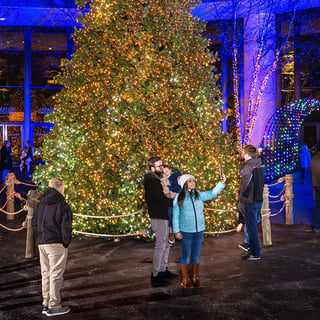 Christmas at the Creation Museum