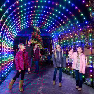 cm-christmastown-2024-light-tunnel