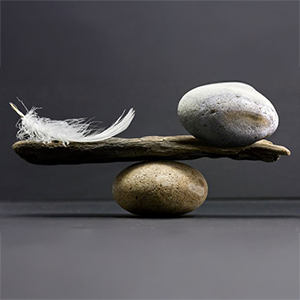 Feather and Stone