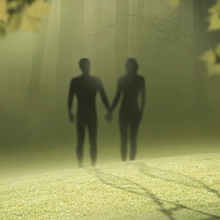 Adam and Eve Silhouette Illustration