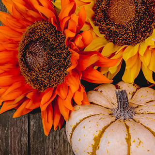 Sunflowers and Pumpkin