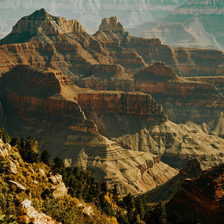 grand-canyon-biologos