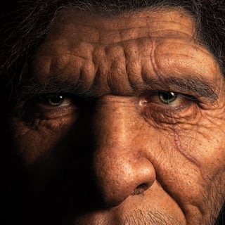 neanderthal