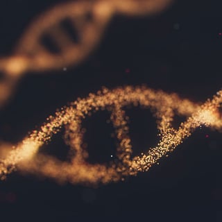 DNA