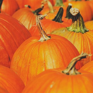 Pumpkins