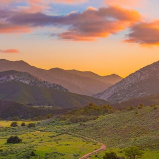 Pretty Landscape