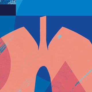 Lung Illustration